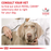 Royal Canin Veterinary Diets Gastrointestinal High Fibre koiran kuivaruoka 14 kg