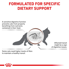Royal Canin Veterinary Diets Gastrointestinal Fibre Response kissan kuivaruoka 4 kg