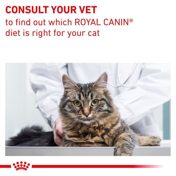 Royal Canin Veterinary Diets Gastrointestinal Fibre Response kissan kuivaruoka 2 kg