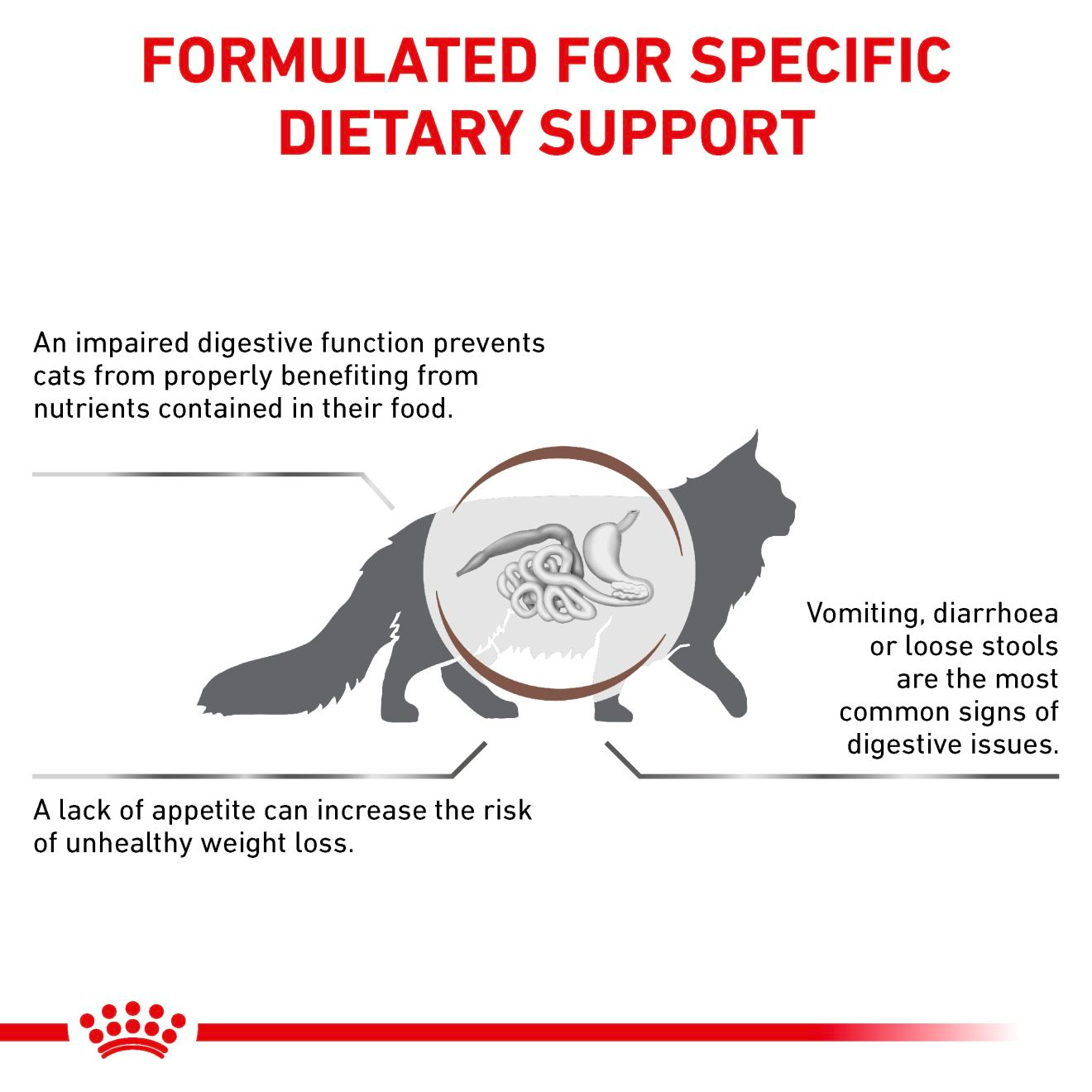 Royal Canin Veterinary Diets Gastrointestinal kissan kuivaruoka 2 kg