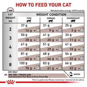Royal Canin Veterinary Diets Gastrointestinal kissan kuivaruoka 2 kg