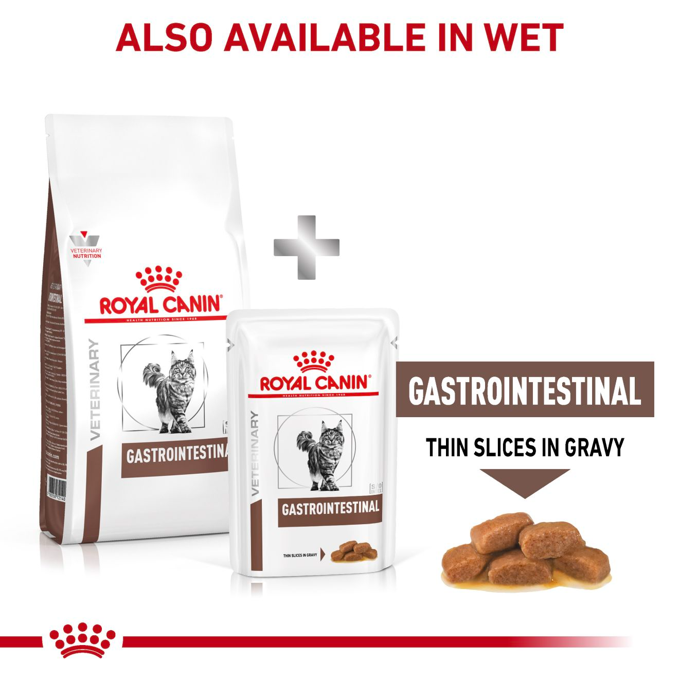 Royal Canin Veterinary Diets Gastrointestinal kissan kuivaruoka 2 kg