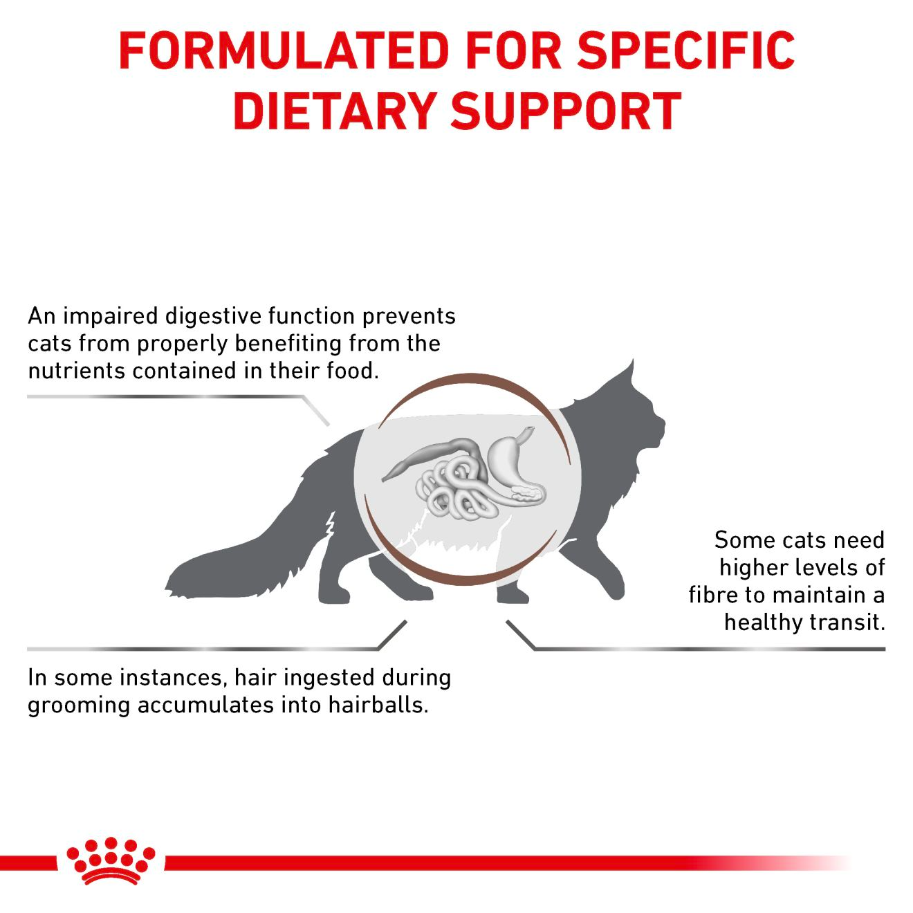 Royal Canin Veterinary Diets Gastrointestinal Hairball kissan kuivaruoka 2 kg