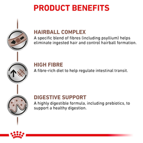 Royal Canin Veterinary Diets Gastrointestinal Hairball kissan kuivaruoka 2 kg