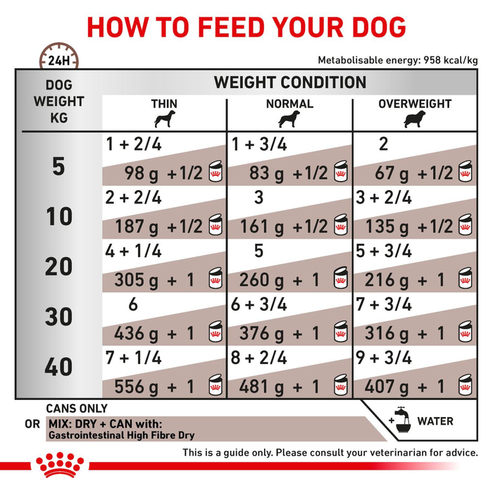 Royal Canin Veterinary Diets Gastrointestinal High Fibre Loaf Can koiran märkäruoka 200 g MAISTELUPAKKAUS