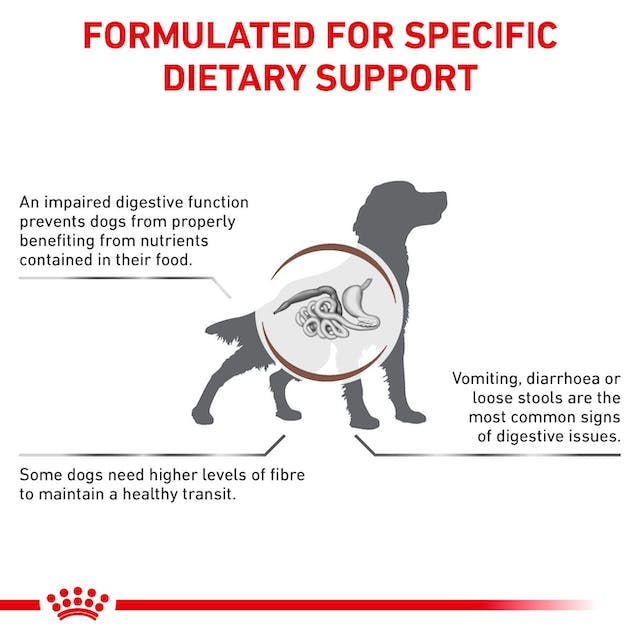 Royal Canin Veterinary Diets Gastrointestinal High Fibre säilykepurkki koiran märkäruoka 12 x 200 g