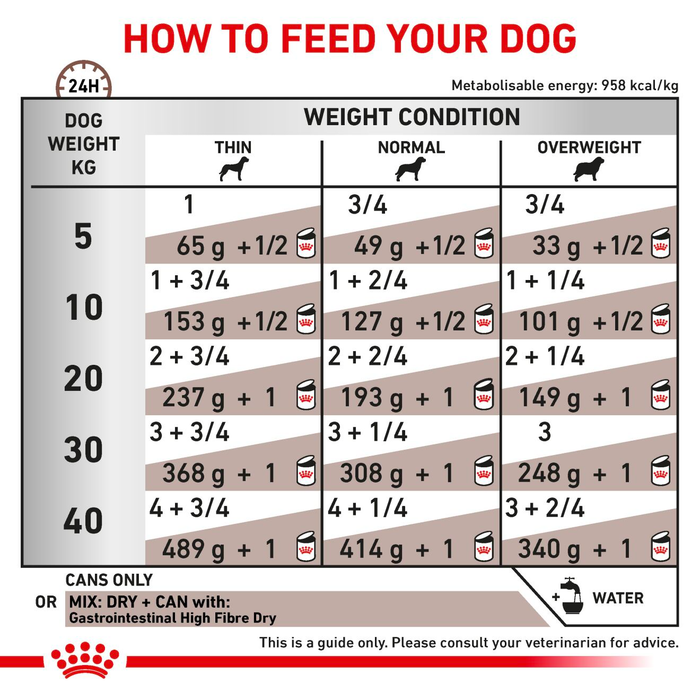 Royal Canin Veterinary Diets Gastrointestinal High Fibre Loaf Can koiran märkäruoka 410 g MAISTELUPAKKAUS