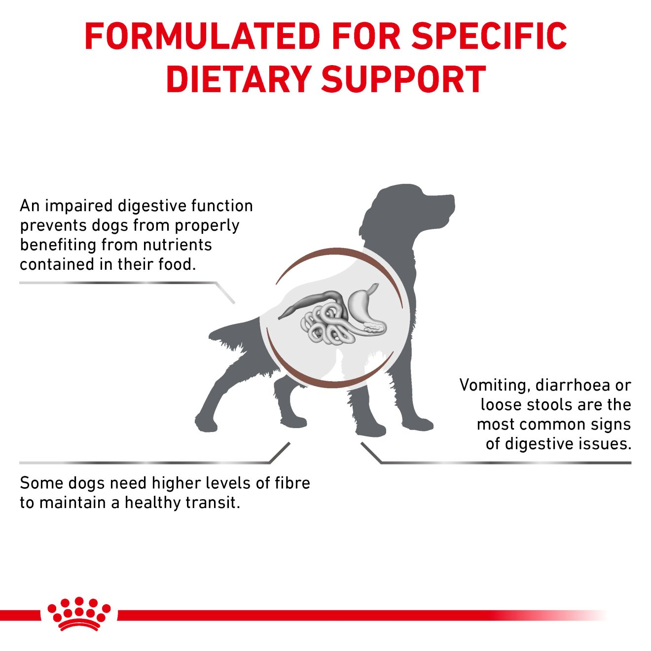 Royal Canin Veterinary Diets Gastrointestinal High Fibre koiran kuivaruoka 2 kg