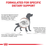 Royal Canin Veterinary Diets Gastrointestinal High Fibre koiran kuivaruoka 2 kg