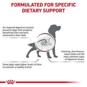 Royal Canin Veterinary Diets Gastrointestinal High Fibre koiran kuivaruoka 7,5 kg
