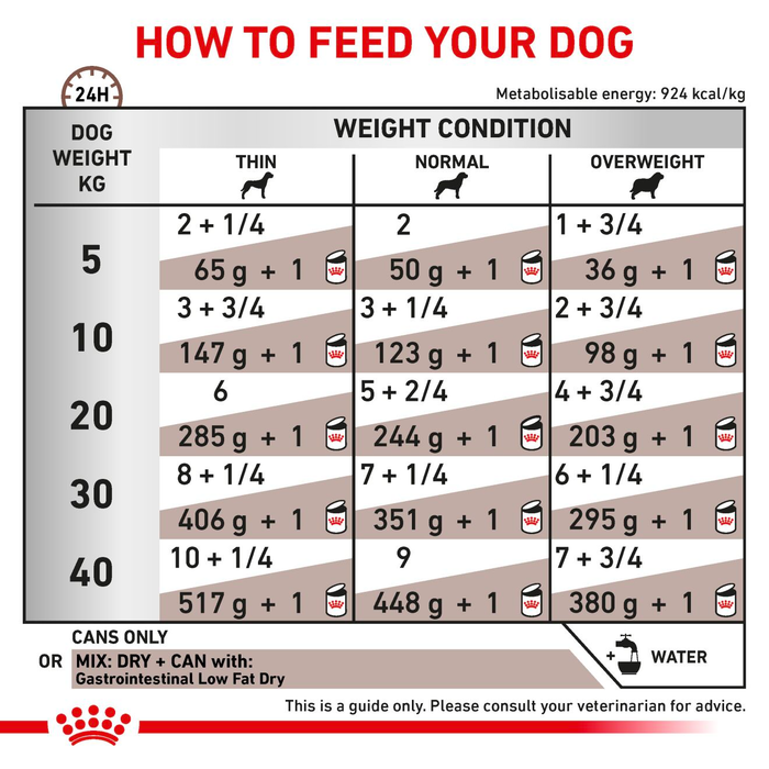 Royal Canin Veterinary Diets Gastrointestinal Low Fat Loaf säilykepurkki koiran märkäruoka 200 g MAISTELUPAKKAUS