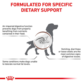 Royal Canin Veterinary Diets Gastrointestinal Low Fat Loaf säilykepurkki koiran märkäruoka 200 g MAISTELUPAKKAUS