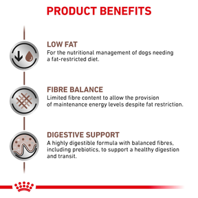 Royal Canin Veterinary Diets Gastrointestinal Low Fat Small Dogs koiran kuivaruoka 1,5 kg