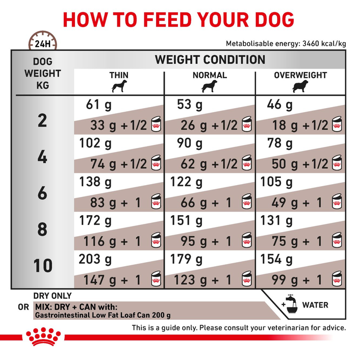 Royal Canin Veterinary Diets Gastrointestinal Low Fat Small Dogs koiran kuivaruoka 3,5 kg