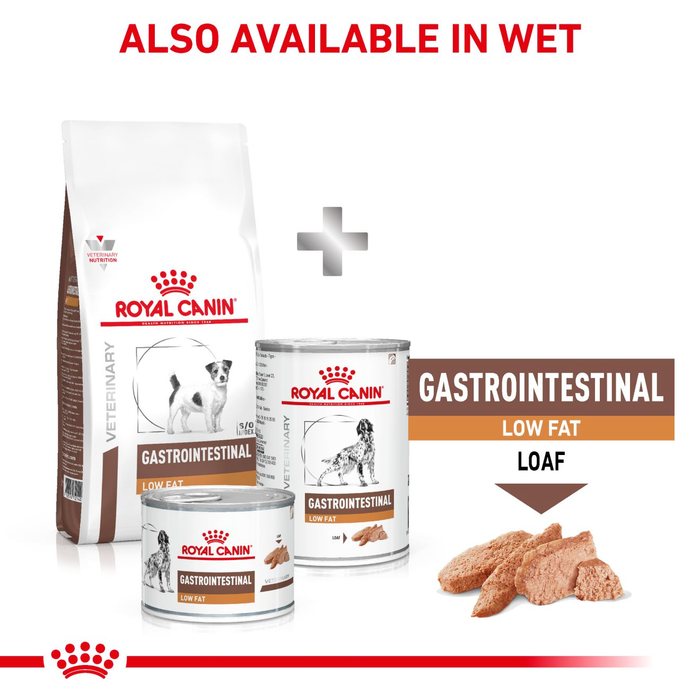 Royal Canin Veterinary Diets Gastrointestinal Low Fat Small Dogs koiran kuivaruoka 3,5 kg