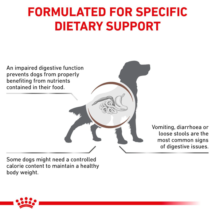 Royal Canin Veterinary Diets Gastrointestinal Moderate Calorie koiran kuivaruoka 2 kg