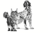 Royal Canin Veterinary Diets Gastrointestinal Recovery Ultra Soft Mousse säilykepurkki kissoille ja koirille märkäruoka 195 g MAISTELUPAKKAUS