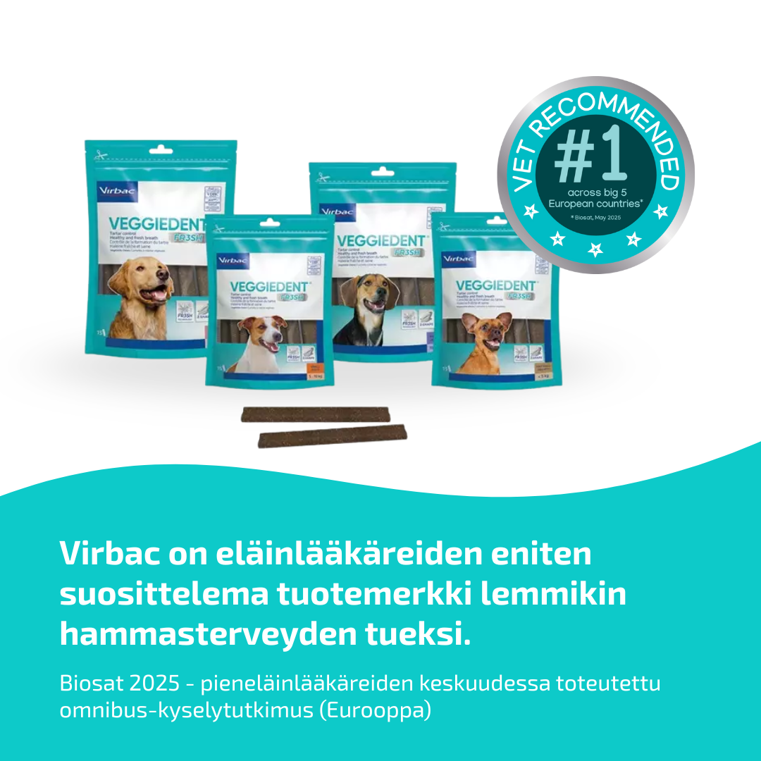 Virbac VeggieDent purupalat koiralle 10-30 kg