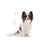 Royal Canin X-Small Adult 8+ koiralle 1,5 kg
