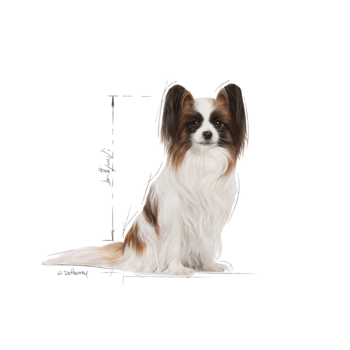 Royal Canin X-Small Adult 8+ koiralle 1,5 kg