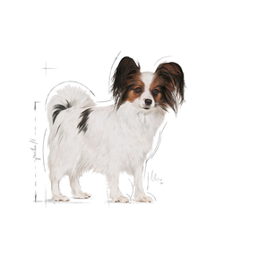 Royal Canin X-Small Adult koiralle 3 kg