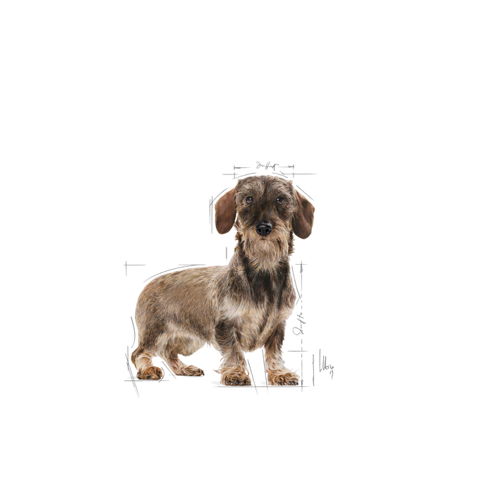 Royal Canin Light Weight Care X-Small koiralle 1,5 kg
