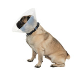 Buster kauluri lyhytkuonoisille S