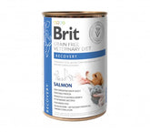 Brit Recovery Salmon märkäruoka kissalle ja koiralle 400 g MAISTELUPAKKAUS