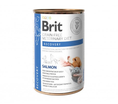 Brit Recovery Salmon märkäruoka kissalle ja koiralle 400 g MAISTELUPAKKAUS