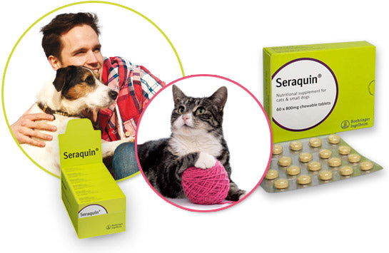Seraquin 800mg 60 tabl kissalle ja pienelle koiralle