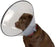 Buster Comfort kauluri 12,5 cm
