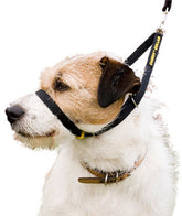 Canny Collar vedonestopanta musta 2