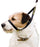 Canny Collar vedonestopanta musta 5