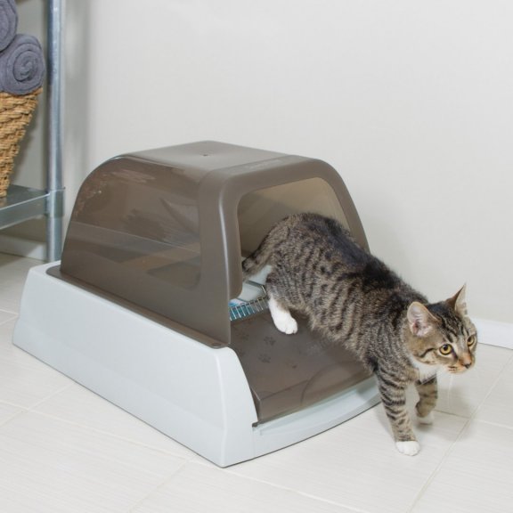 PetSafe itsepuhdistuva kissanvessa