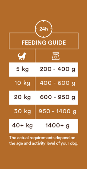 Monster Dog Adult Single Protein Turkey koiralle 6 x 400 g