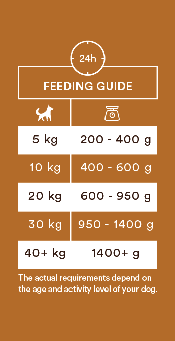 Monster Dog Adult Single Protein Turkey koiralle 6 x 400 g