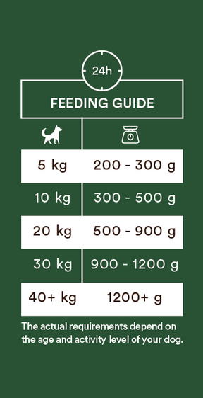 Monster Dog Adult Single Protein Lamb koiralle 6 x 400 g