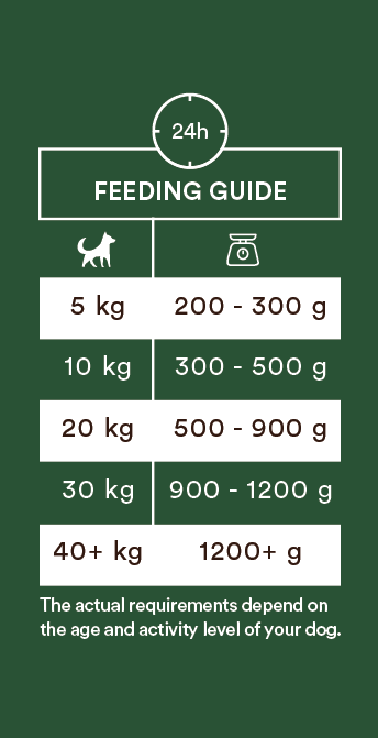 Monster Dog Adult Single Protein Lamb koiralle 6 x 400 g