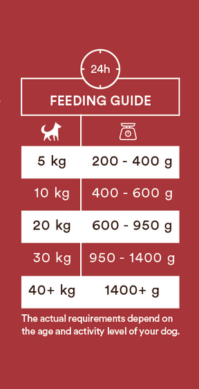 Monster Dog Adult Single Protein Beef koiralle 400 g MAISTELUPAKKAUS