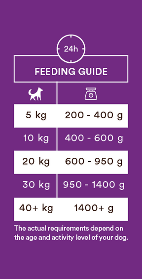 Monster Dog Adult Multi Protein Beef-Chicken-Game koiralle 400 g MAISTELUPAKKAUS