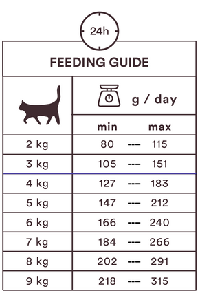 Monster Cat Pouches Adult Beef kissalle 8 x 85 g