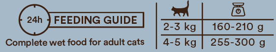 Monster Cat Adult Multi Protein Chicken-Salmon kissalle 100 g MAISTELUPAKKAUS
