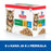 Hill's SP Kitten Multipack Chicken & with Ocean Fish 12 x 85 g