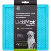 LickiMat Soother Aktivointimatto turkoosi 20 cm x 20 cm