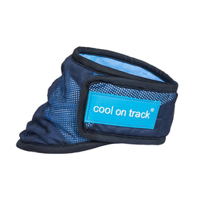 Cool On Track Viilentävä huivi koiralle XL