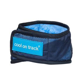 Cool On Track Viilentävä huivi koiralle L