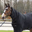 Back on Track Fleeceloimi hevoselle kiinteällä kaulakappaleella 145 cm