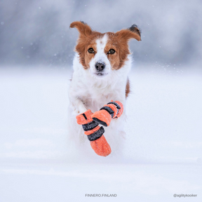 HALLA-fleecetossut oranssit 4 kpl pakkaus XXS