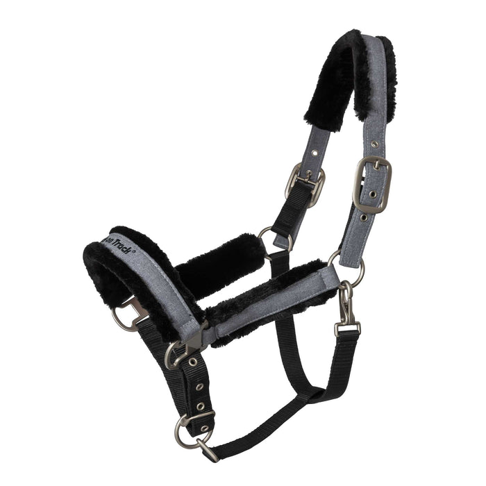 Back on Track  Haze Collection riimu hevoselle harmaa pony
