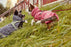 Hurtta Razzle-Dazzle Midlayer pinkki 55